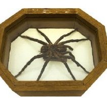 960.711.1 (2) Edited